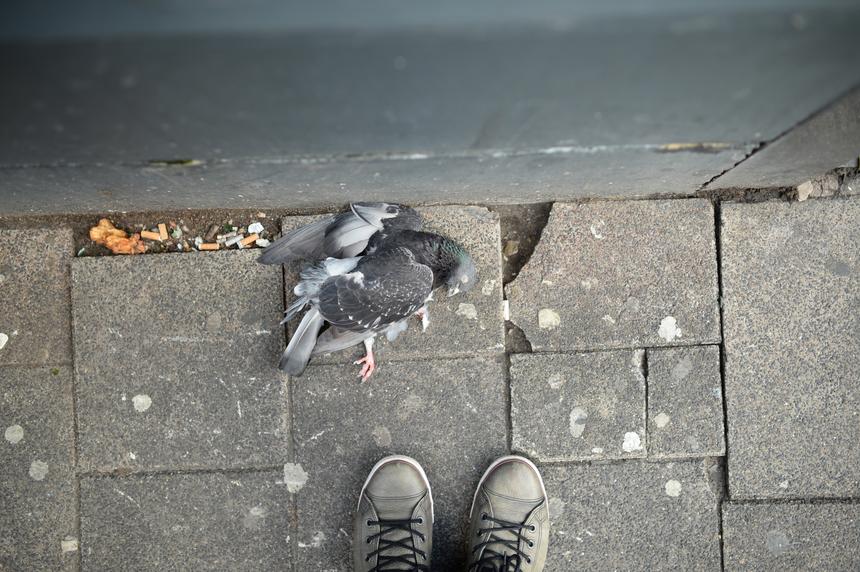 Nikon Df, ISO 200, 35 мм, f/2.2, 1/400 c