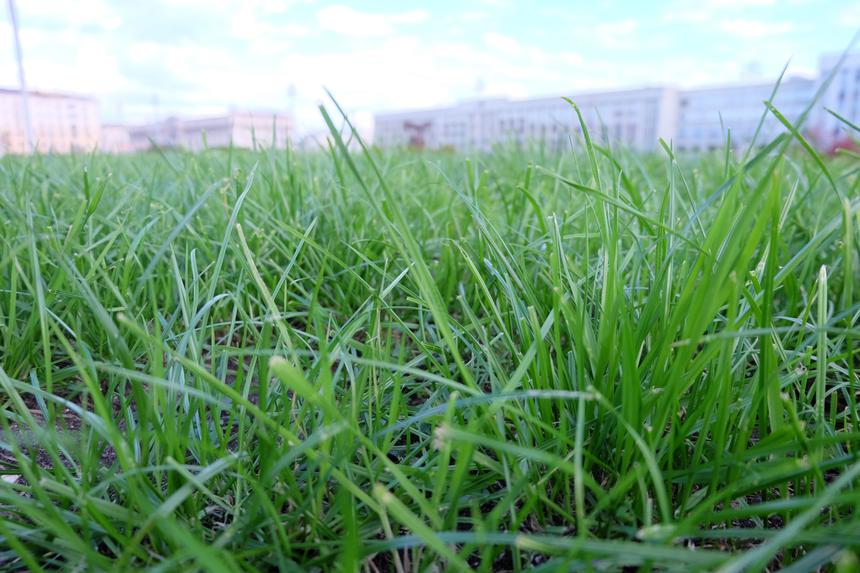 Fujifilm X-M1, ISO 400, 24 мм F3.5, 1/250 c