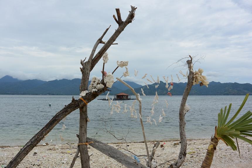 Nikon 1 AW1, ISO160, 11 мм F5.6, 1/1600 c