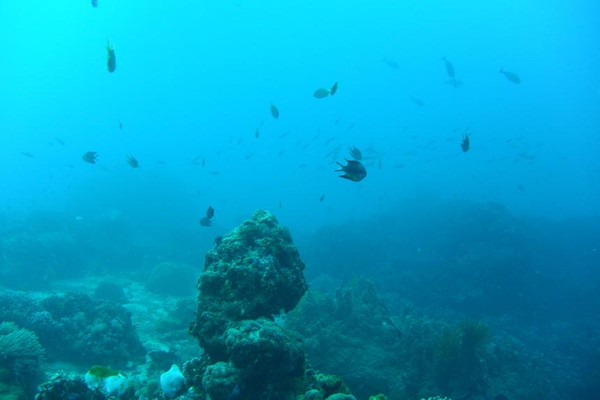 Nikon 1 AW1, ISO 200, 11 мм, f/3.5, 1/160 c