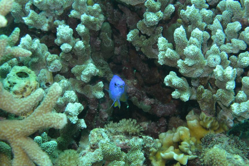 Nikon 1 AW1, ISO 160, 27,5 мм, f/10, 1/60 c