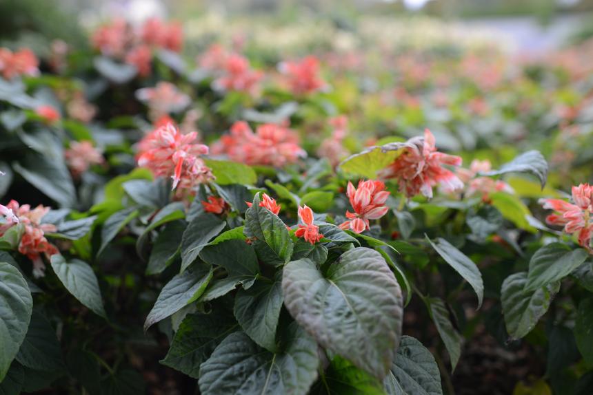 Nikon D600, ISO 100, 35 мм, f/2.8, 1/100 c