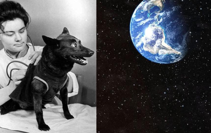 60 лет назад собака слетала в космос на корабле Гагарина до самого Гагарина
