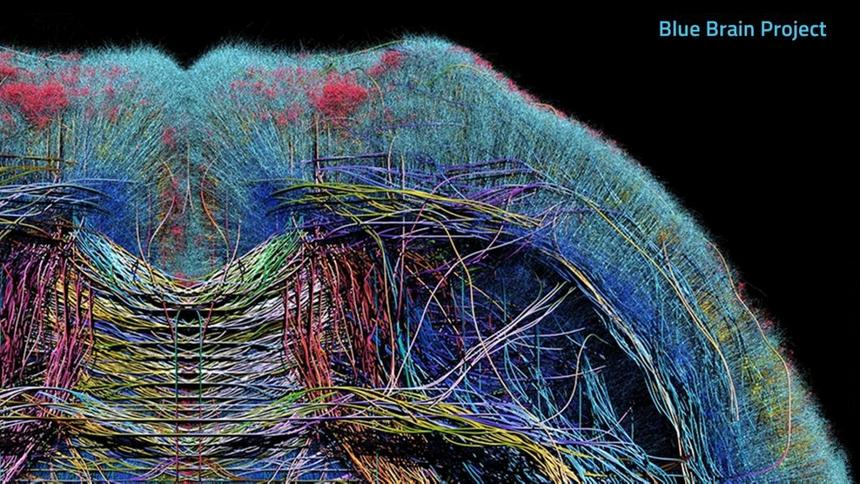 Комп по подобию человеческого мозга вместо бесполезных микросхем? Уже в разработке, с 2005 года