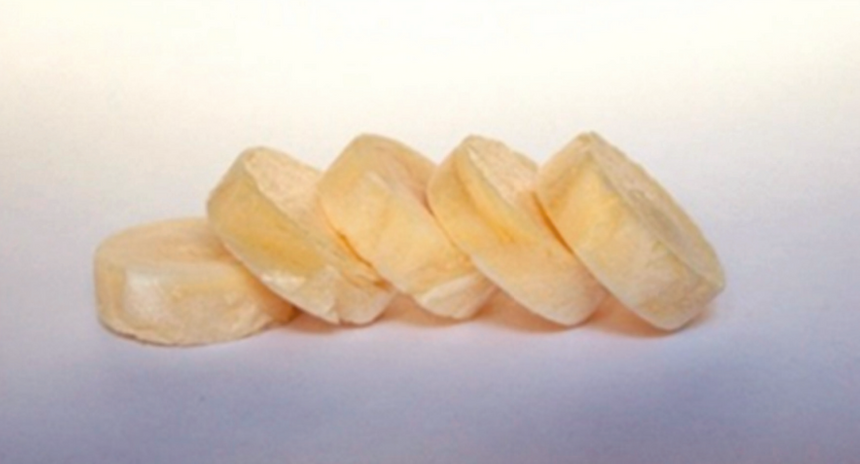 Пористые таблетки с посевным материалом бактерий для экспиримента «Пробиовит»