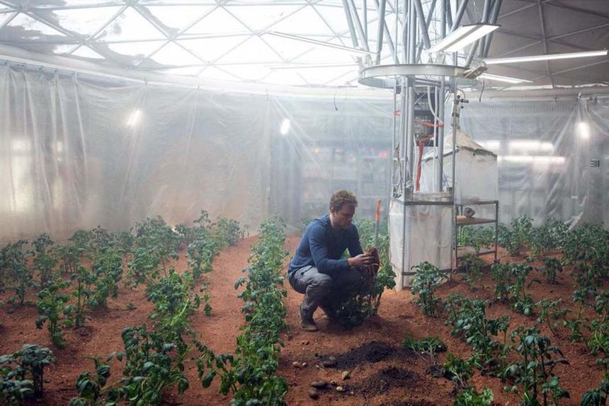 «И на Марсе будут яблони цвести». Ну или картошка