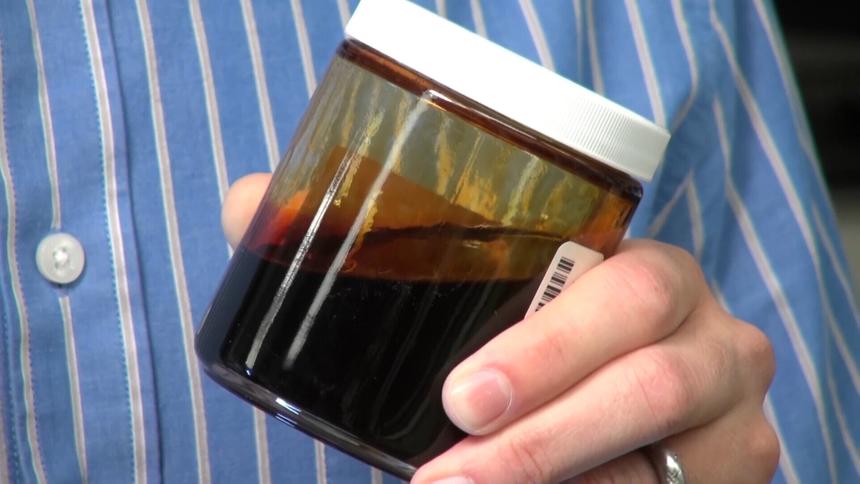 Российские ученые научились получать нефть из водорослей и отходов