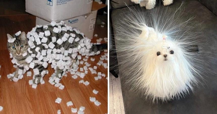 Какое ещё статическое электричество?