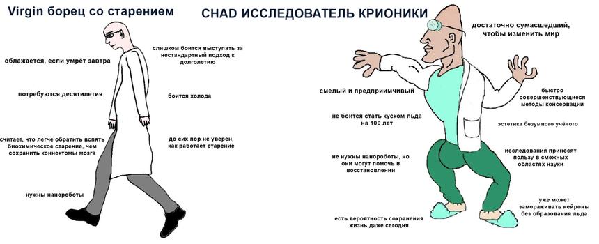 Заморозь меня полностью: новая надежда на вечную жизнь?