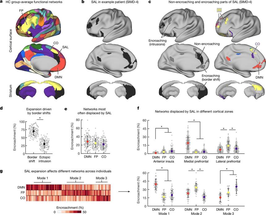 Жизнь не виновата: предрасположенность к депрессии нашли в мозге