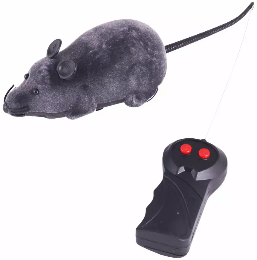 Технологии для ваших пушистых друзей