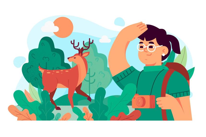 Чудеса науки: лучше один раз увидеть