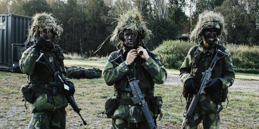 Эксперт объяснил, как конкретно Швеция и Финляндия укрепят военную силу НАТО