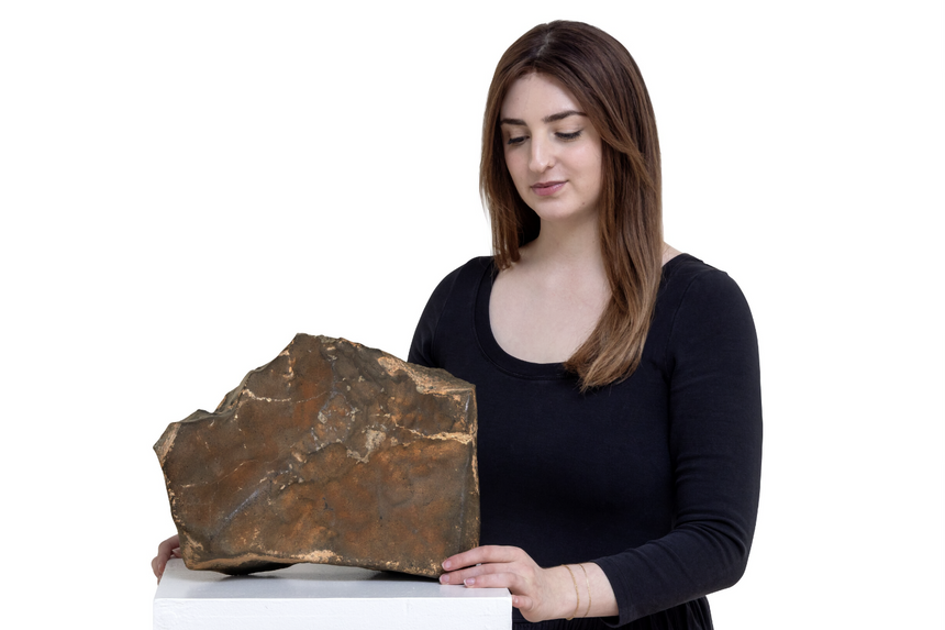 Уникальный метеорит с Марса весом 24,7 кг ушёл с молотка за $5,3 млн