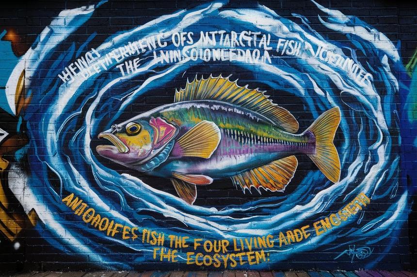 Карельские генетики создадут собственное маточное стадо форели