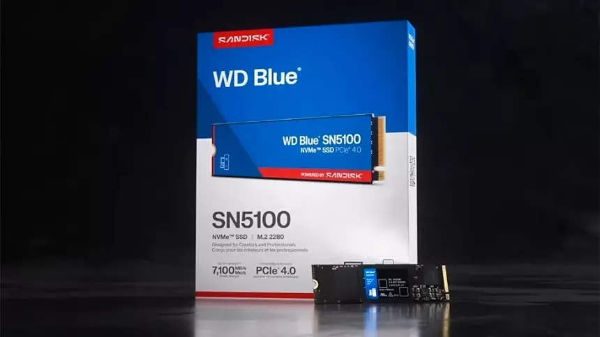 SanDisk представила недорогой SSD-накопитель WD Blue SN5100 формата M.2 за $54
