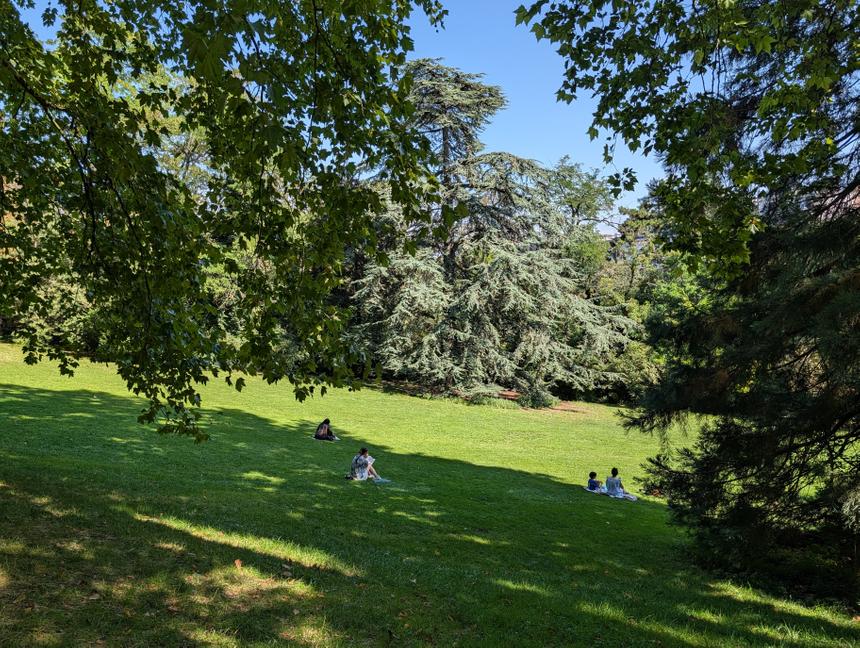 Свежий Google Pixel 10 Pro XL вошёл в число лучших камерофонов по версии DxOMark