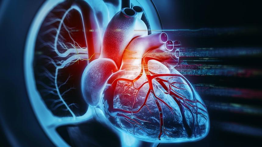 В РФ создали программу для быстрого анализа жира вокруг сердца