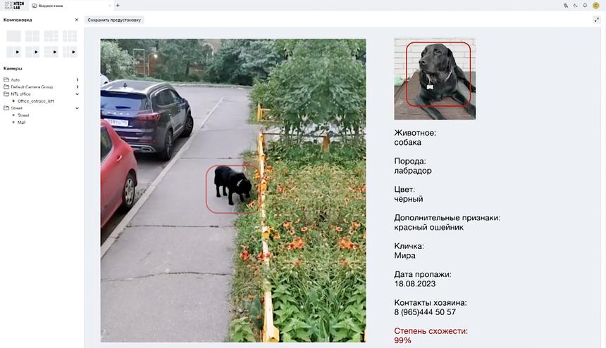 В Подмосковье с помощью ИИ нашли более тысячи домашних животных