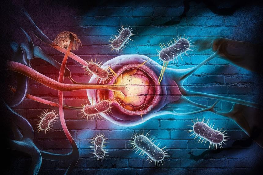 Анализ ДНК выявил болезни, которые убили армию Наполеона, что шла на Москву