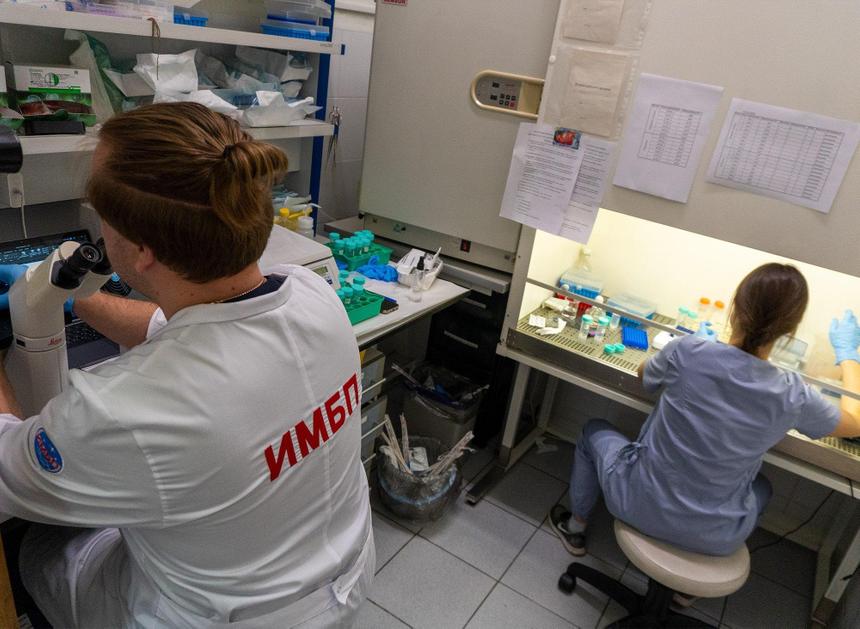 Гравитация, биоспутник и медицины: итоги года ИМБП РАН